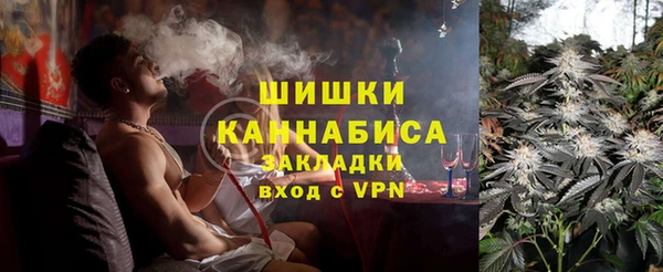 гидра Алапаевск
